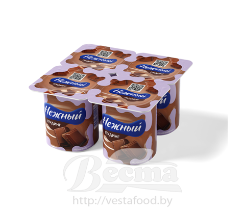 Пудинг молочный "НЕЖНЫЙ" ультрапастеризованный "Шоколадный", м.д.ж 3.0%, 100 г, 1/24